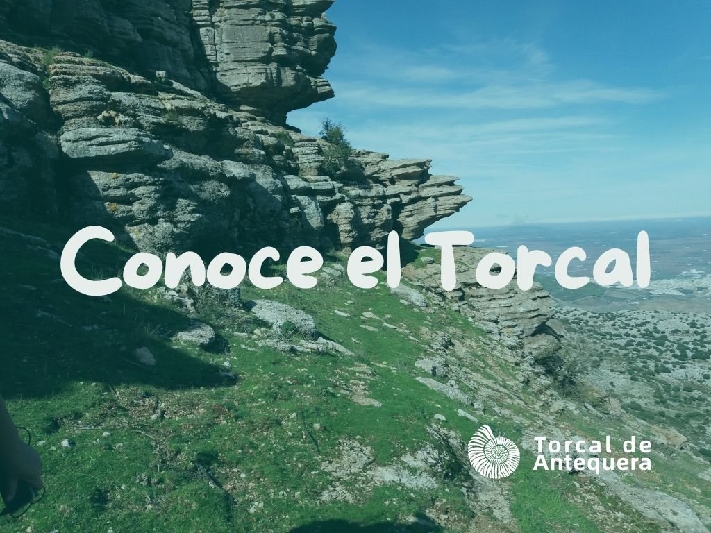 Formaciones kársticas del Torcal de Antequera