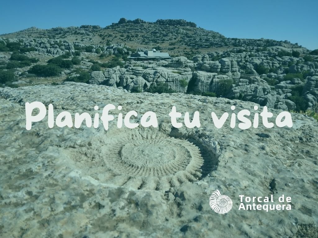 Paisaje del Torcal de Antequera junto al acceso