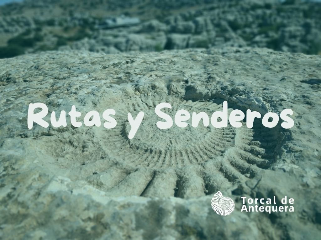 Sendero entre las formaciones rocosas del Torcal de Antequera